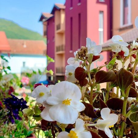 Hotel Casablanca Gorazde エクステリア 写真